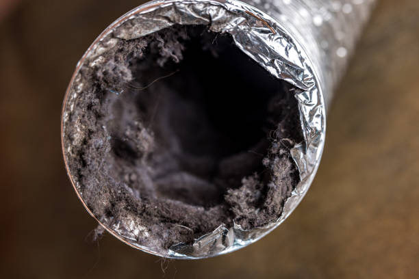 Best Best Air Duct Cleaning Company  in Howey In The Hills, FL